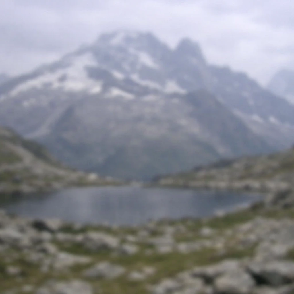 Original image